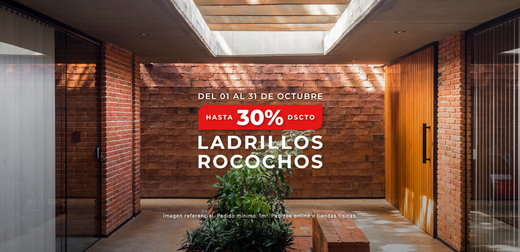 banner-web-LADRILLOS-ROCOCHOS-LANDING2
